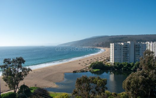 VENTA DEPARTAMENTO PAPUDO LAGUNA P256 – VISTA AL MAR Y HUMEDAL