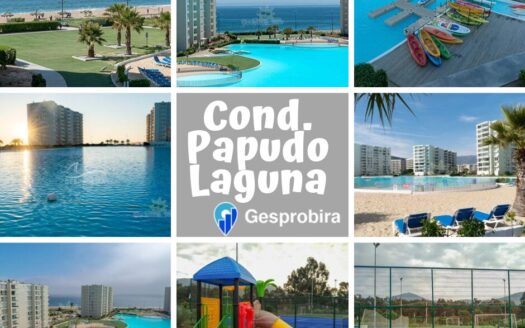 Venta Departamento en Papudo Laguna – P260
