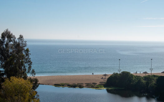 Venta Departamento en Papudo Laguna – P260